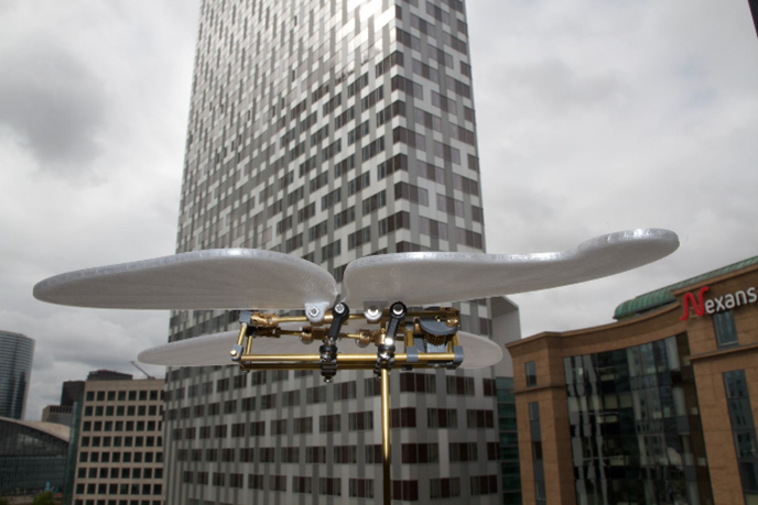 Atlas Butterflies Detail 1